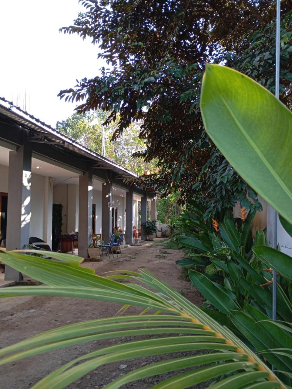 Wl Guesthouse ลาบวนบาโจ ภายนอก รูปภาพ