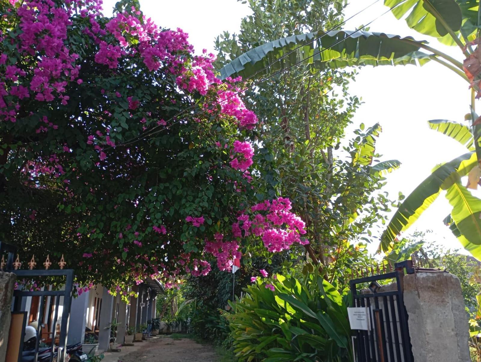 Wl Guesthouse ลาบวนบาโจ ภายนอก รูปภาพ