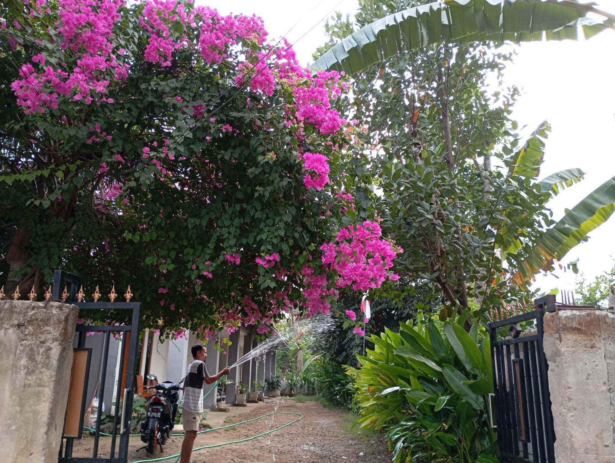 Wl Guesthouse ลาบวนบาโจ ภายนอก รูปภาพ
