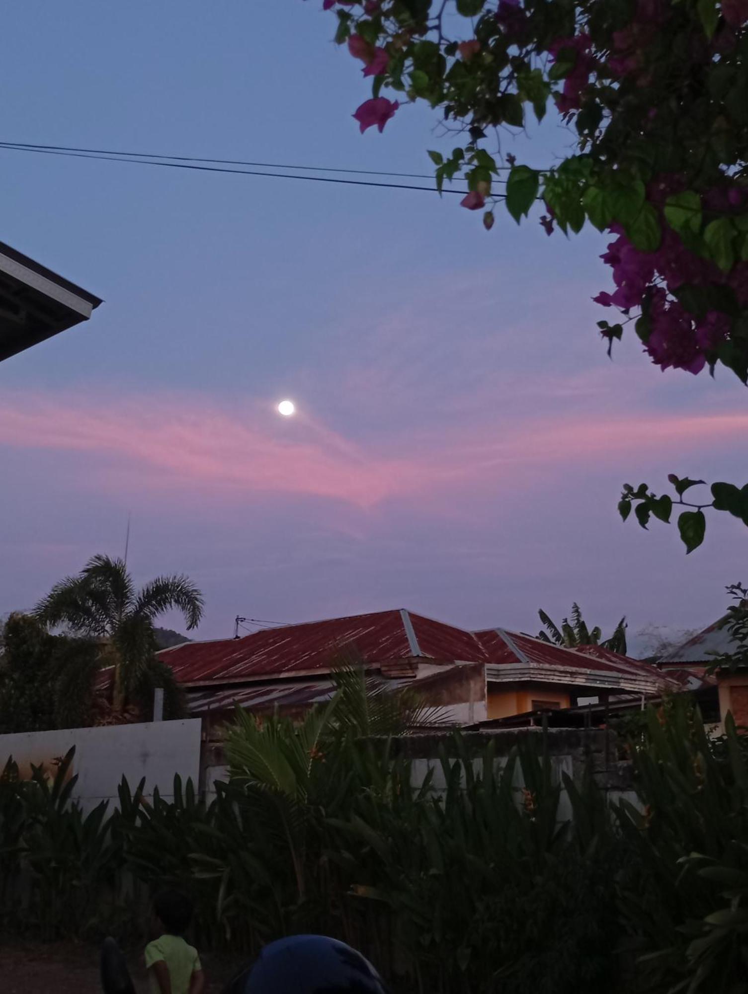 Wl Guesthouse ลาบวนบาโจ ภายนอก รูปภาพ