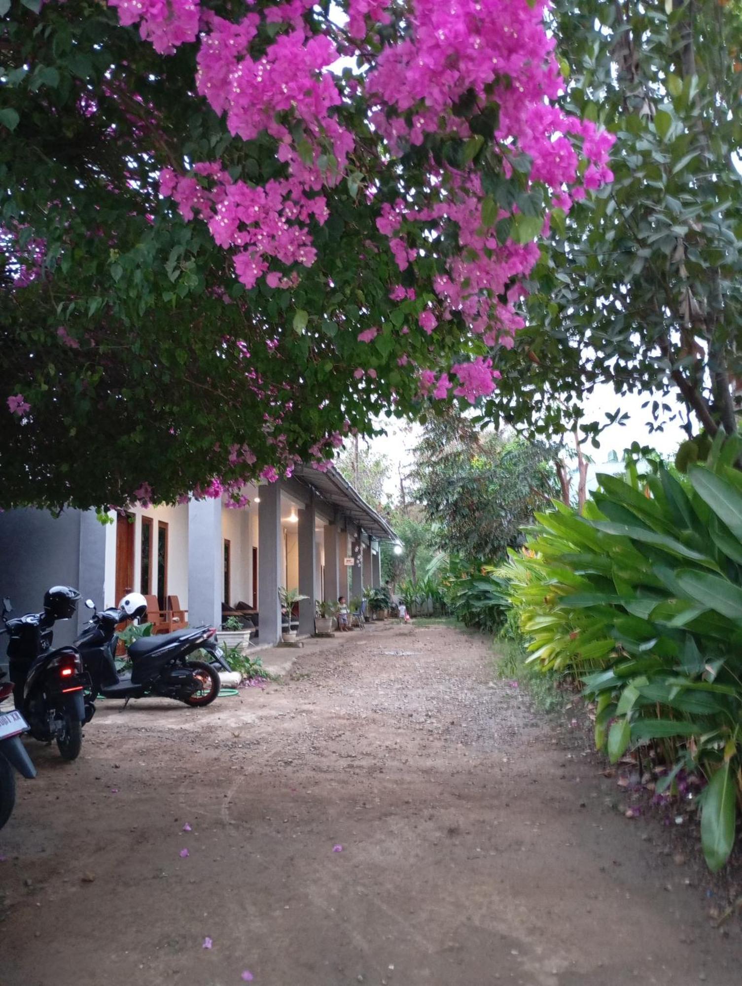 Wl Guesthouse ลาบวนบาโจ ภายนอก รูปภาพ