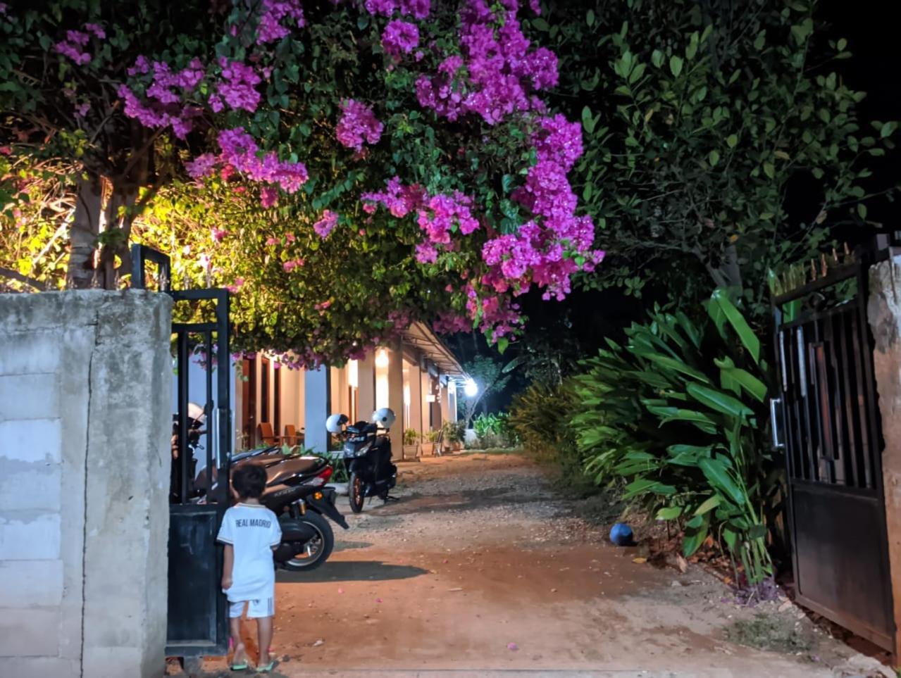 Wl Guesthouse ลาบวนบาโจ ภายนอก รูปภาพ
