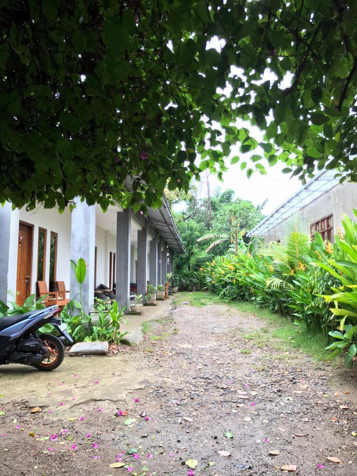 Wl Guesthouse ลาบวนบาโจ ภายนอก รูปภาพ