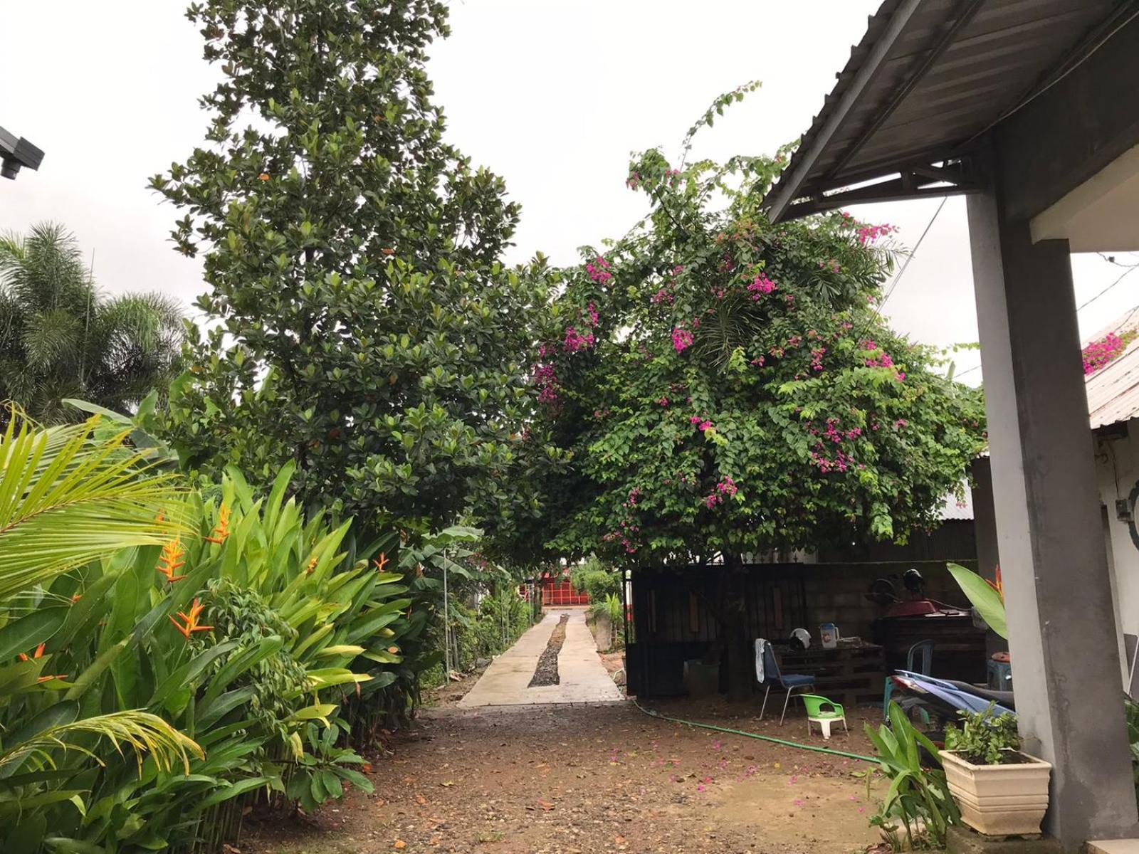 Wl Guesthouse ลาบวนบาโจ ภายนอก รูปภาพ